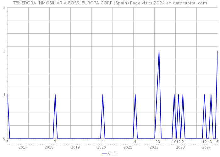 TENEDORA INMOBILIARIA BOSS-EUROPA CORP (Spain) Page visits 2024 