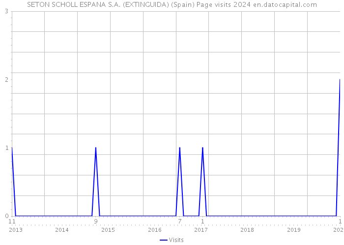 SETON SCHOLL ESPANA S.A. (EXTINGUIDA) (Spain) Page visits 2024 
