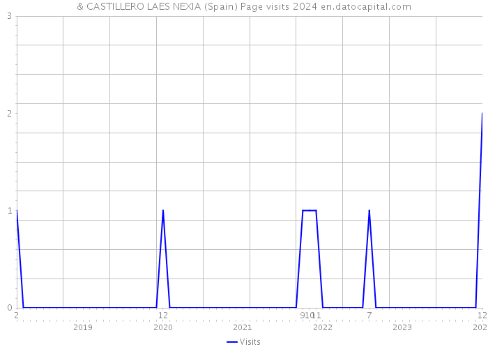 & CASTILLERO LAES NEXIA (Spain) Page visits 2024 