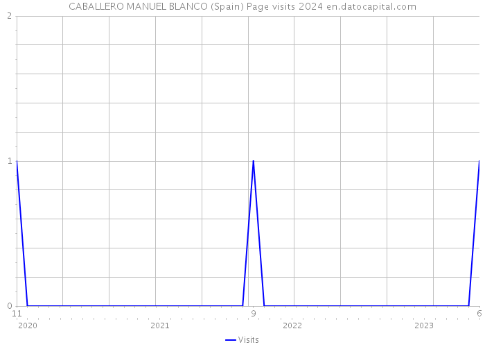 CABALLERO MANUEL BLANCO (Spain) Page visits 2024 