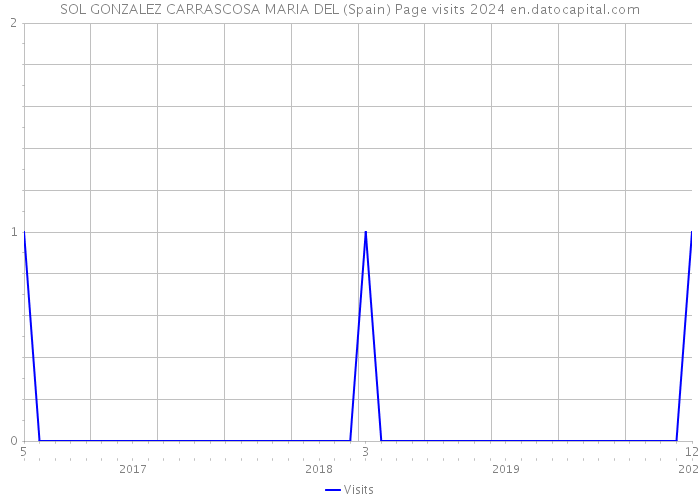 SOL GONZALEZ CARRASCOSA MARIA DEL (Spain) Page visits 2024 