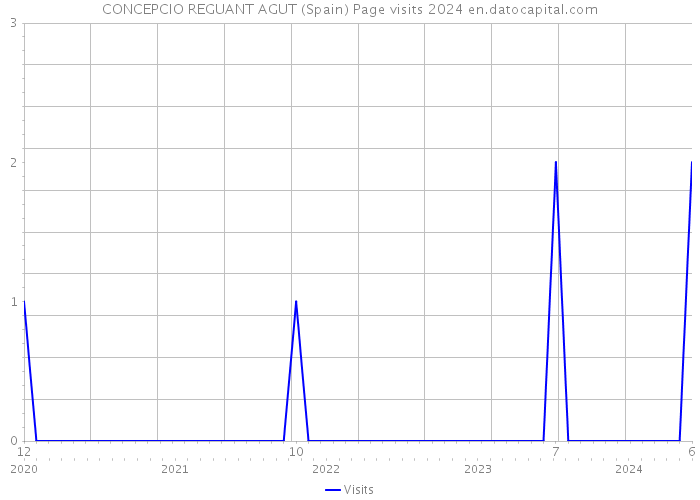 CONCEPCIO REGUANT AGUT (Spain) Page visits 2024 