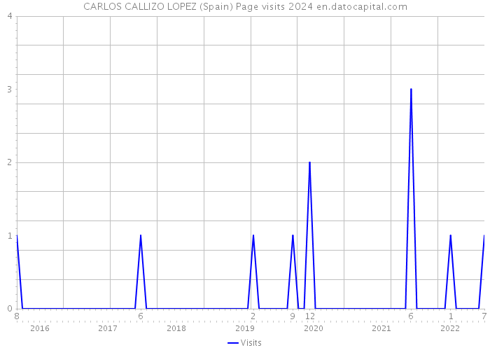 CARLOS CALLIZO LOPEZ (Spain) Page visits 2024 