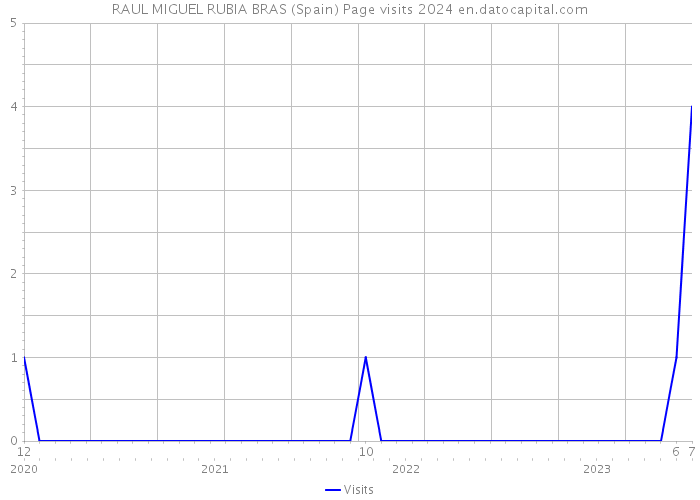RAUL MIGUEL RUBIA BRAS (Spain) Page visits 2024 