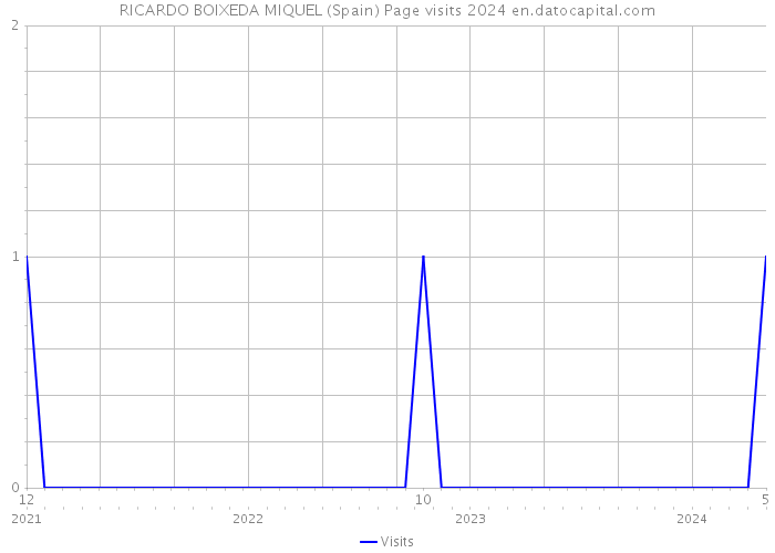 RICARDO BOIXEDA MIQUEL (Spain) Page visits 2024 