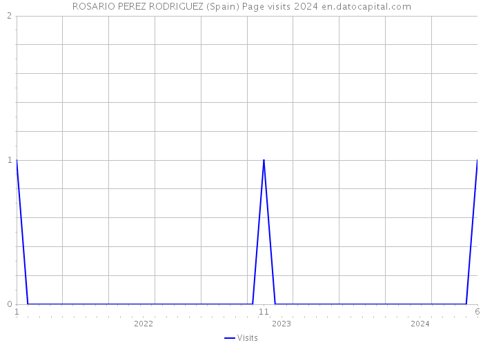 ROSARIO PEREZ RODRIGUEZ (Spain) Page visits 2024 