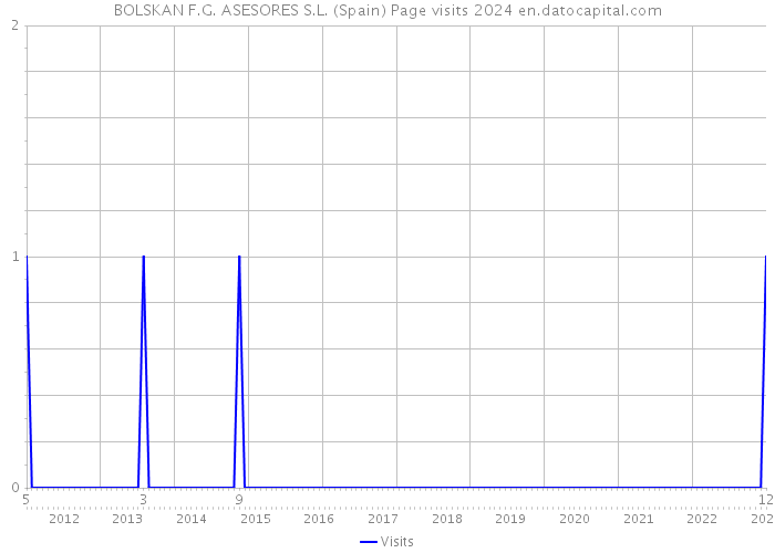 BOLSKAN F.G. ASESORES S.L. (Spain) Page visits 2024 