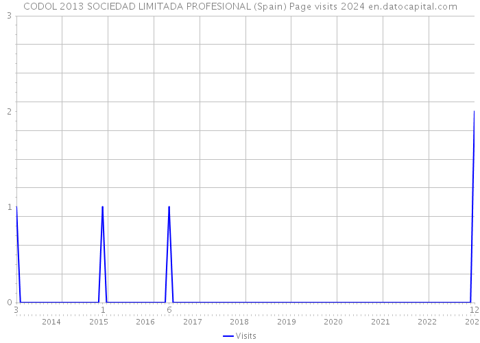 CODOL 2013 SOCIEDAD LIMITADA PROFESIONAL (Spain) Page visits 2024 