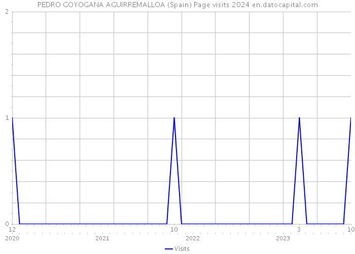 PEDRO GOYOGANA AGUIRREMALLOA (Spain) Page visits 2024 