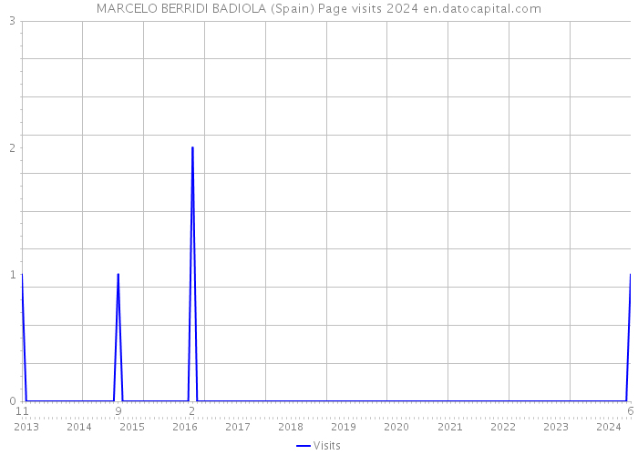 MARCELO BERRIDI BADIOLA (Spain) Page visits 2024 