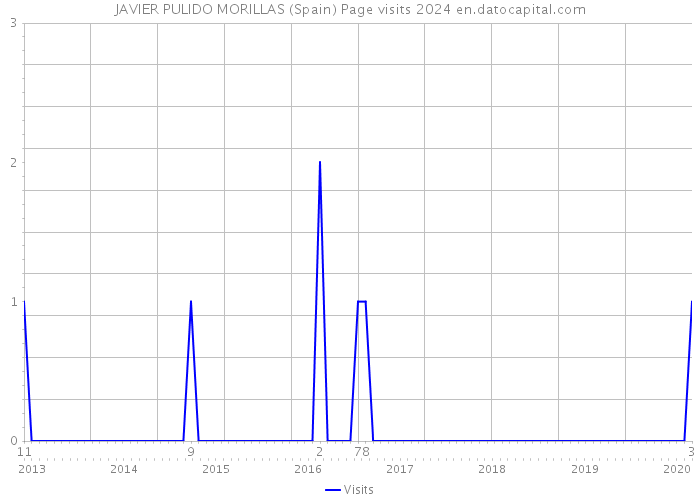 JAVIER PULIDO MORILLAS (Spain) Page visits 2024 
