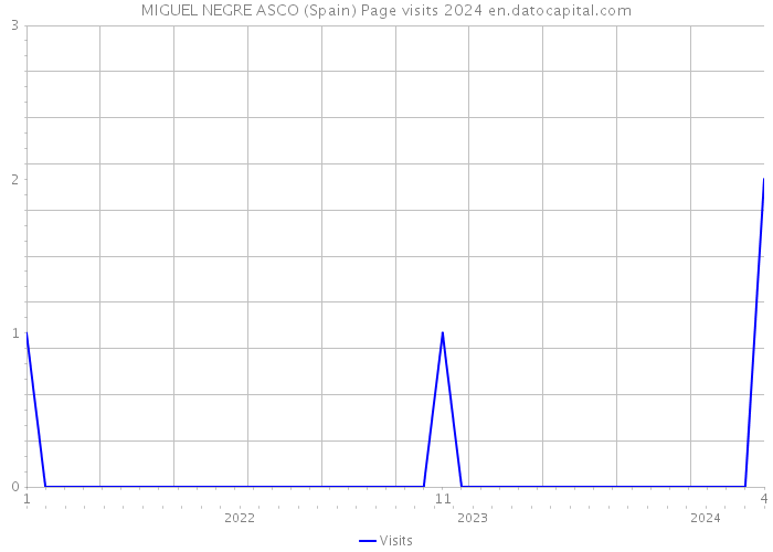 MIGUEL NEGRE ASCO (Spain) Page visits 2024 