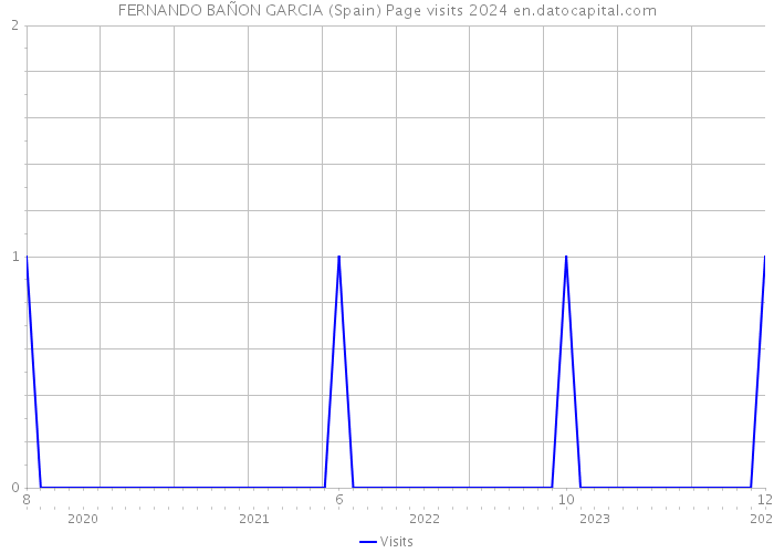 FERNANDO BAÑON GARCIA (Spain) Page visits 2024 