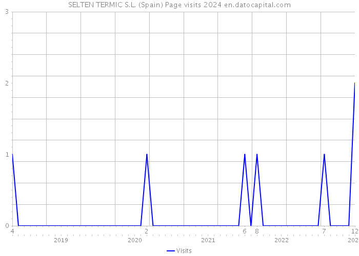SELTEN TERMIC S.L. (Spain) Page visits 2024 