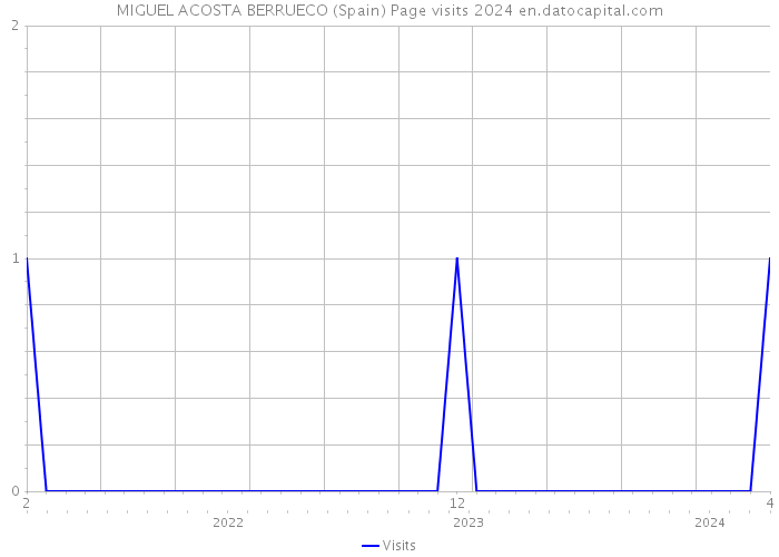 MIGUEL ACOSTA BERRUECO (Spain) Page visits 2024 