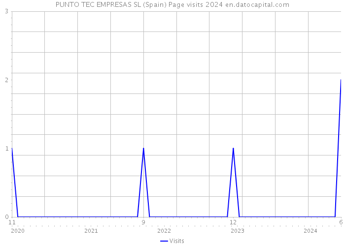 PUNTO TEC EMPRESAS SL (Spain) Page visits 2024 