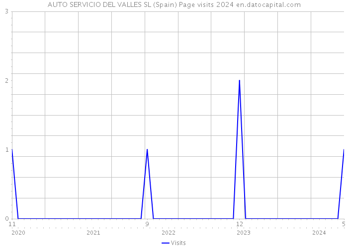 AUTO SERVICIO DEL VALLES SL (Spain) Page visits 2024 
