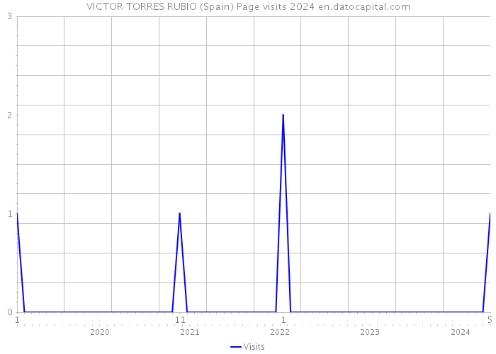 VICTOR TORRES RUBIO (Spain) Page visits 2024 