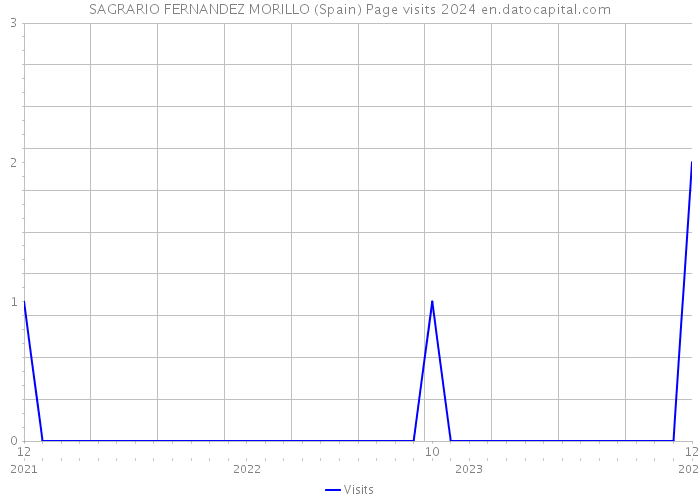 SAGRARIO FERNANDEZ MORILLO (Spain) Page visits 2024 