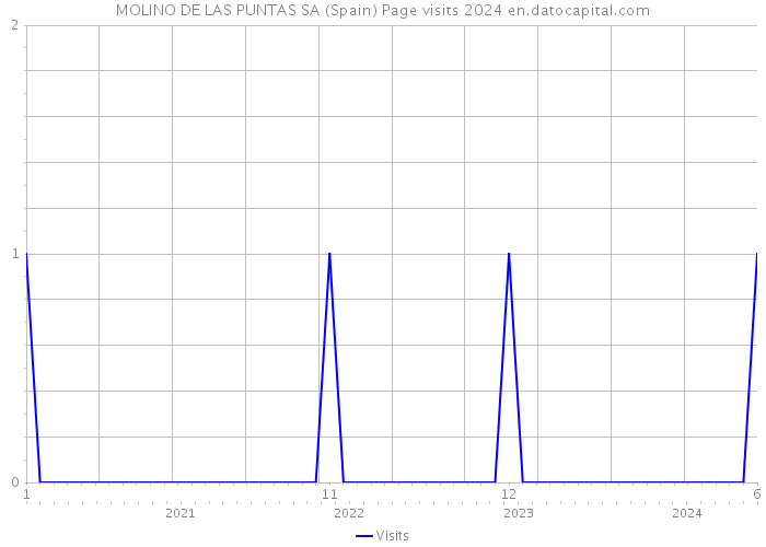 MOLINO DE LAS PUNTAS SA (Spain) Page visits 2024 