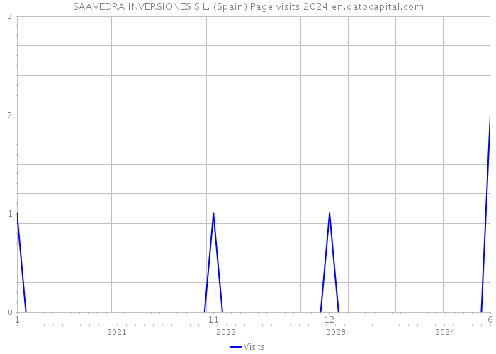 SAAVEDRA INVERSIONES S.L. (Spain) Page visits 2024 