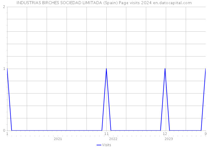 INDUSTRIAS BIRCHES SOCIEDAD LIMITADA (Spain) Page visits 2024 