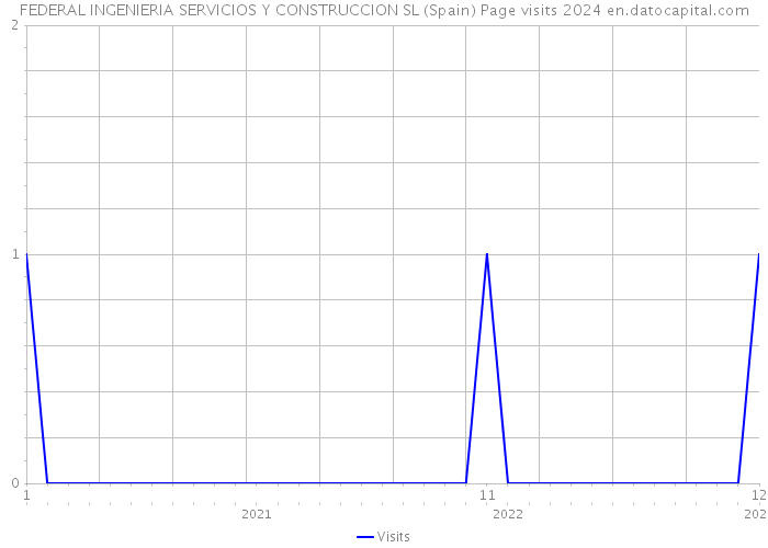 FEDERAL INGENIERIA SERVICIOS Y CONSTRUCCION SL (Spain) Page visits 2024 