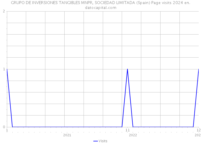 GRUPO DE INVERSIONES TANGIBLES MNPR, SOCIEDAD LIMITADA (Spain) Page visits 2024 