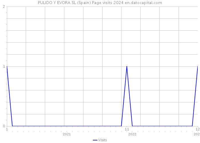 PULIDO Y EVORA SL (Spain) Page visits 2024 