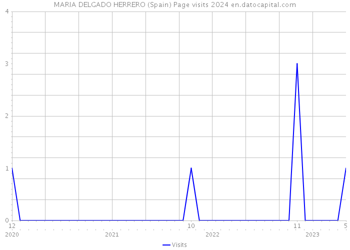 MARIA DELGADO HERRERO (Spain) Page visits 2024 