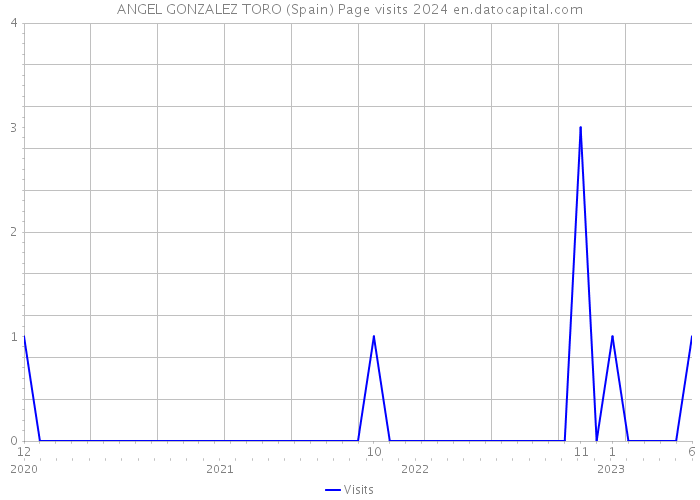 ANGEL GONZALEZ TORO (Spain) Page visits 2024 