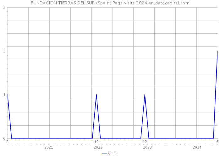 FUNDACION TIERRAS DEL SUR (Spain) Page visits 2024 