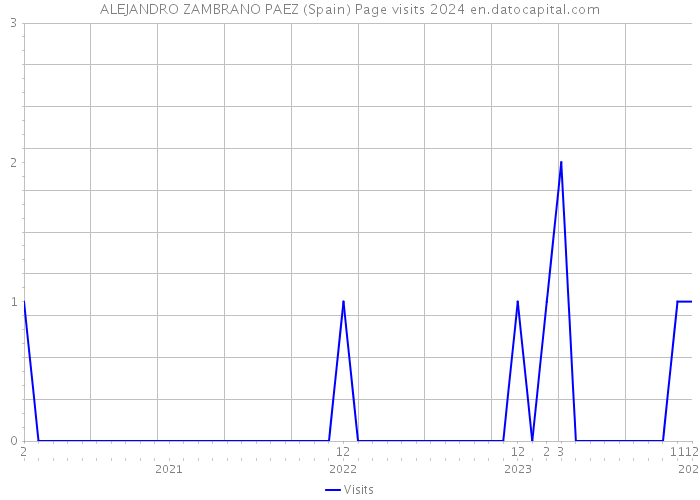 ALEJANDRO ZAMBRANO PAEZ (Spain) Page visits 2024 