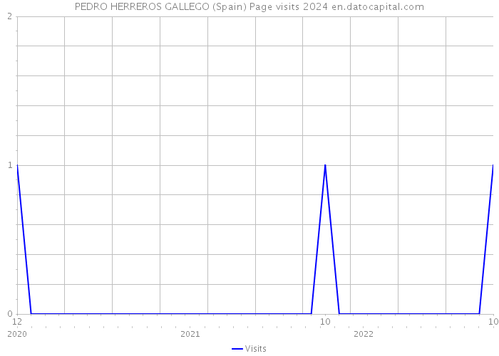 PEDRO HERREROS GALLEGO (Spain) Page visits 2024 