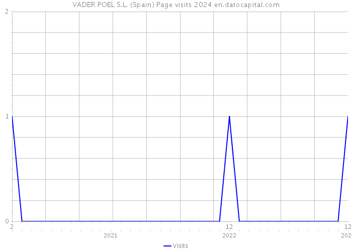 VADER POEL S.L. (Spain) Page visits 2024 