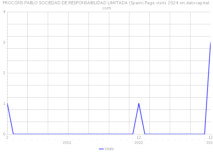 PROCONS PABLO SOCIEDAD DE RESPONSABILIDAD LIMITADA (Spain) Page visits 2024 