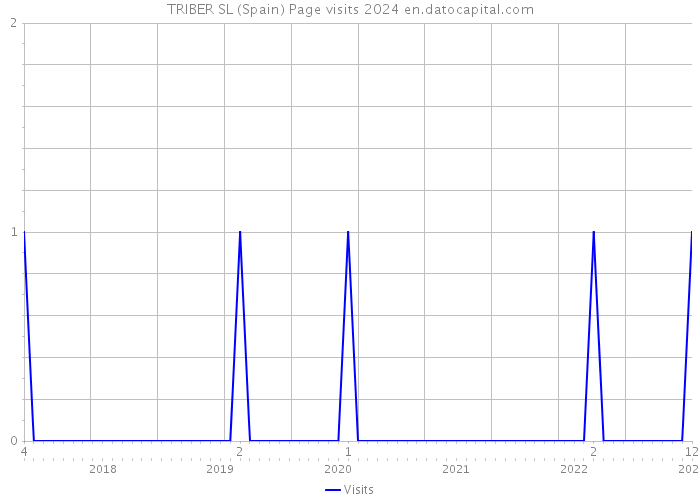 TRIBER SL (Spain) Page visits 2024 