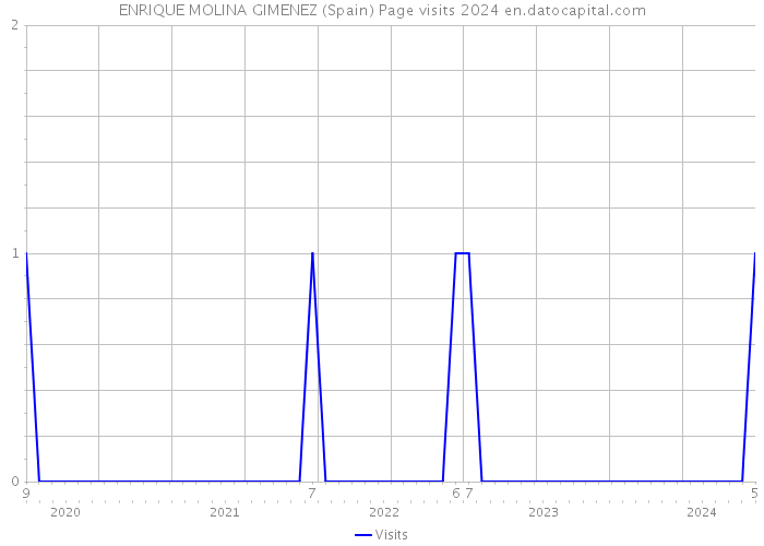 ENRIQUE MOLINA GIMENEZ (Spain) Page visits 2024 