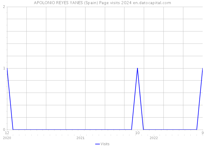 APOLONIO REYES YANES (Spain) Page visits 2024 