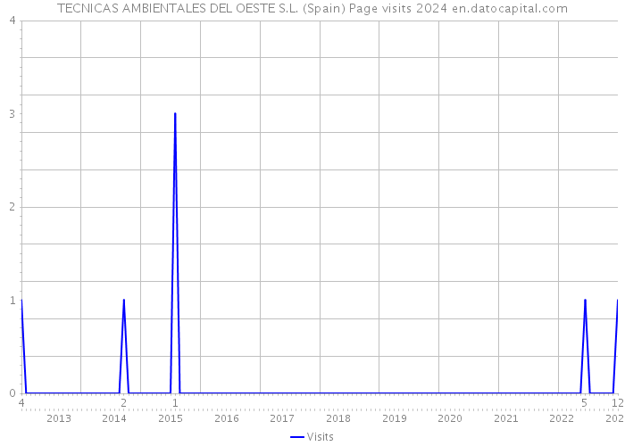 TECNICAS AMBIENTALES DEL OESTE S.L. (Spain) Page visits 2024 