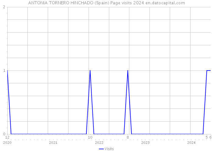 ANTONIA TORNERO HINCHADO (Spain) Page visits 2024 