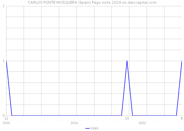 CARLOS PONTE MOSQUERA (Spain) Page visits 2024 