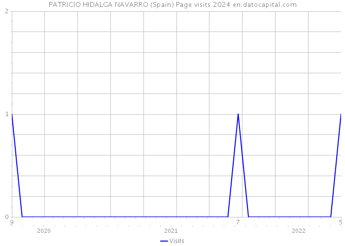 PATRICIO HIDALGA NAVARRO (Spain) Page visits 2024 