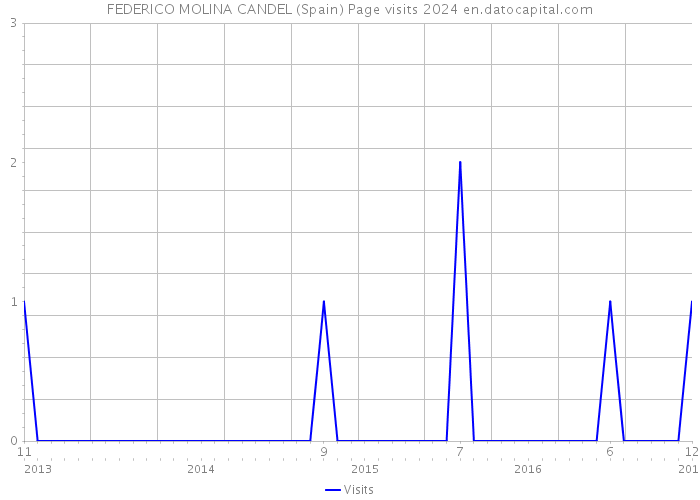 FEDERICO MOLINA CANDEL (Spain) Page visits 2024 