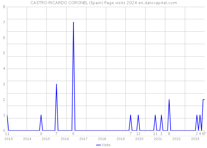 CASTRO RICARDO CORONEL (Spain) Page visits 2024 