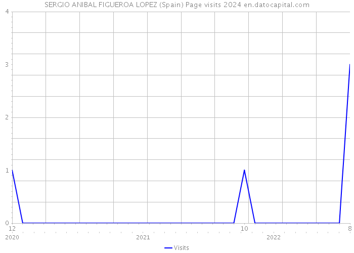 SERGIO ANIBAL FIGUEROA LOPEZ (Spain) Page visits 2024 