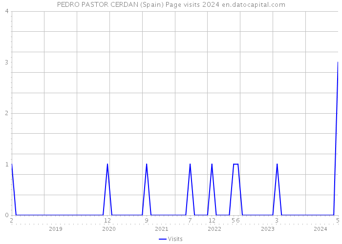 PEDRO PASTOR CERDAN (Spain) Page visits 2024 