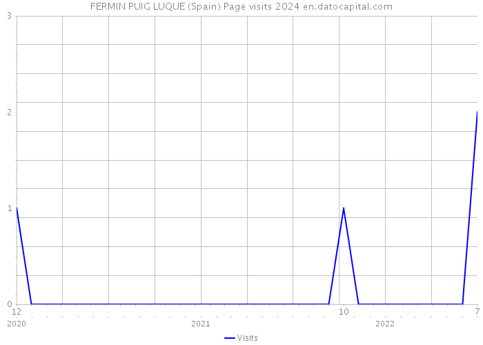 FERMIN PUIG LUQUE (Spain) Page visits 2024 