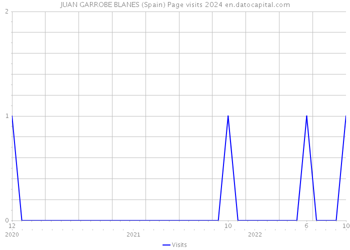 JUAN GARROBE BLANES (Spain) Page visits 2024 