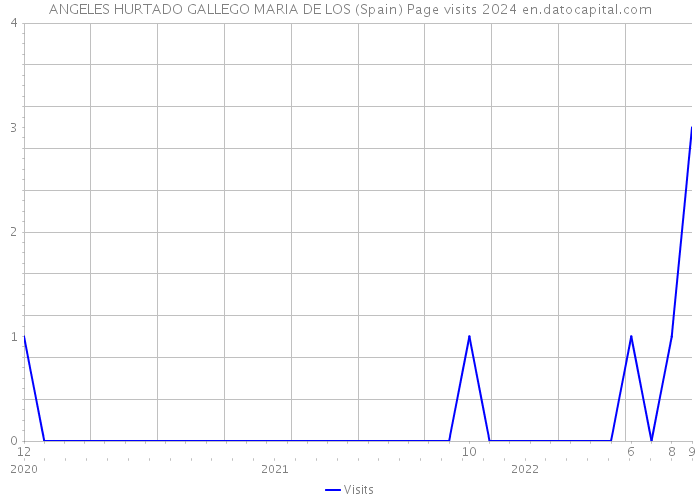 ANGELES HURTADO GALLEGO MARIA DE LOS (Spain) Page visits 2024 